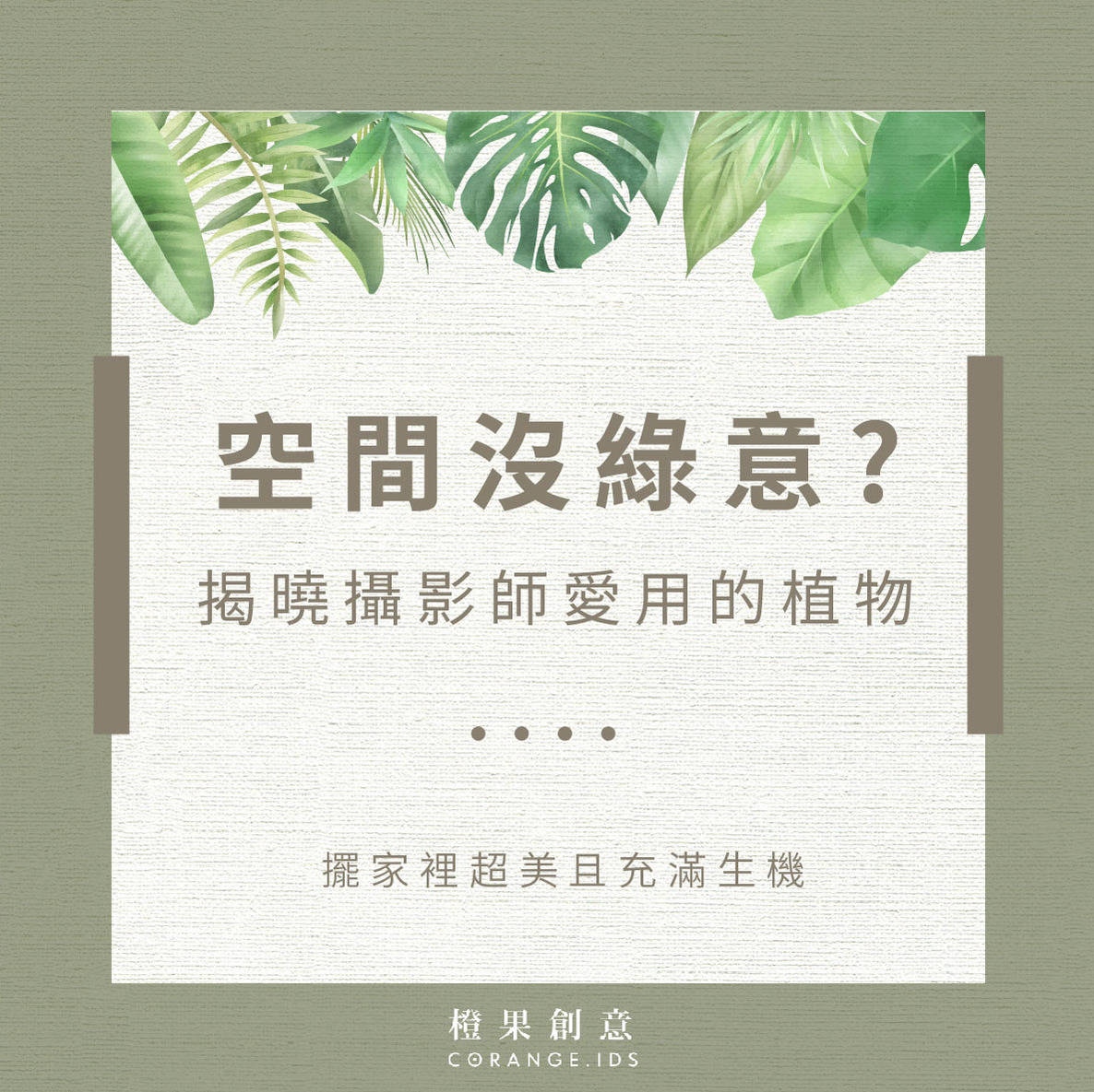 【軟裝佈置】空間沒綠意？ 揭曉攝影師愛用、擺家裡超美的植物